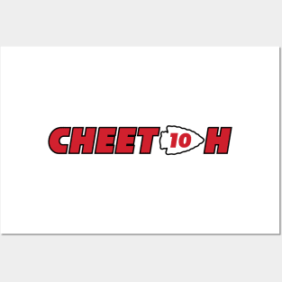 Cheetah 10 Posters and Art